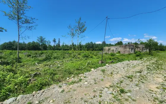 Земля на продажу в Натанеби.