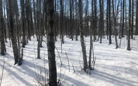 Продается земельный участок на горе с шикарным видом на море и на горы в Чакви.