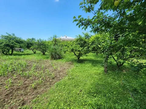 Земельный участок с красивой панорамой.
