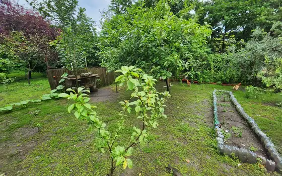 5 Bedroom House with Yard in Poti, photo 3