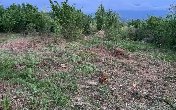 Земельный участок в Кобулетском муниципалитете.