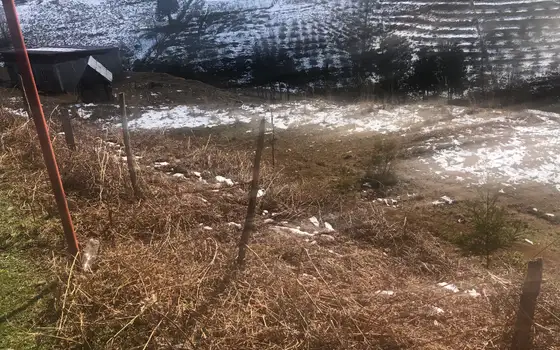 Investment Land Plot with Sea and Mountain Views in Chakvi, photo 2