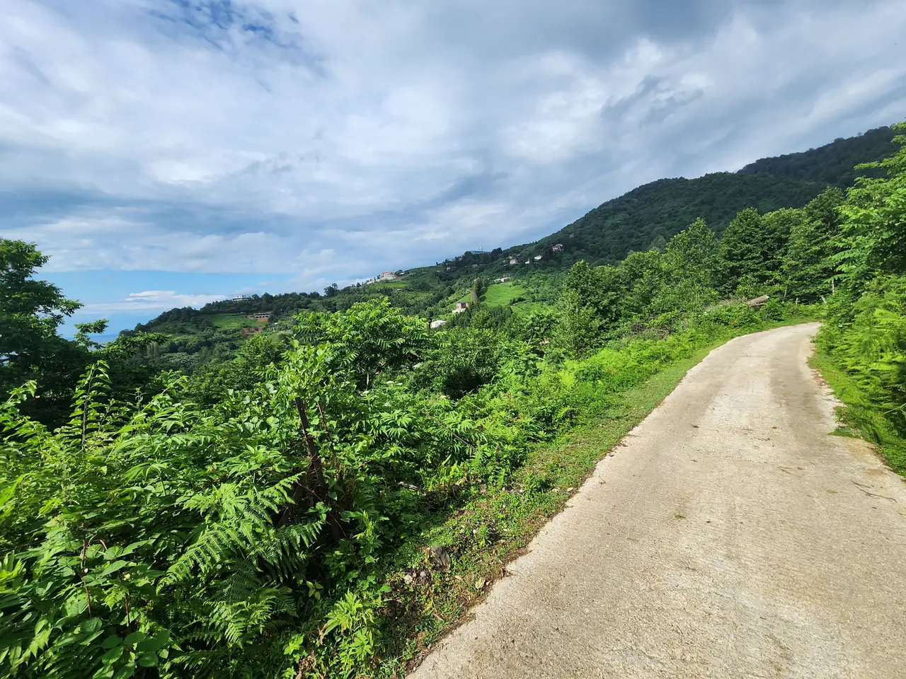 2500 m² Non-Agricultural Land in Sarpi, photo 1