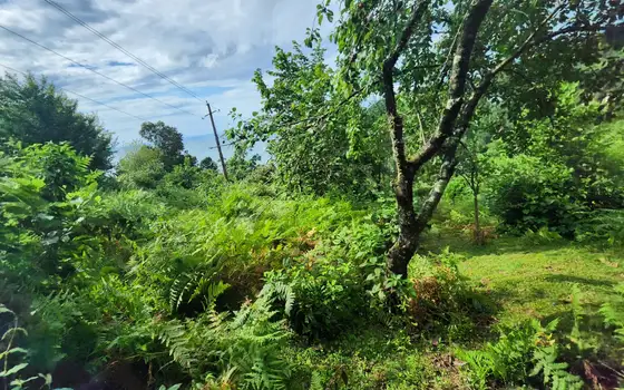 2500 m² Non-Agricultural Land in Sarpi, photo 11