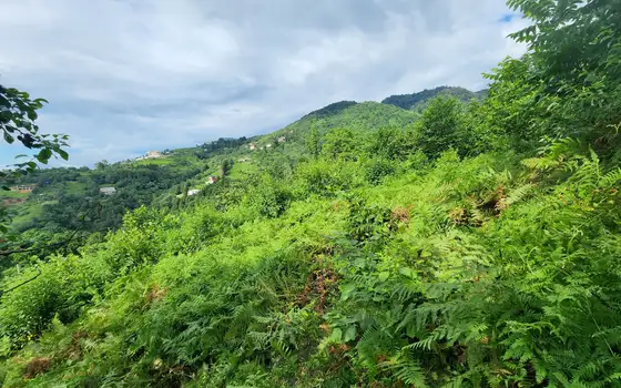 2500 m² Non-Agricultural Land in Sarpi, photo 12