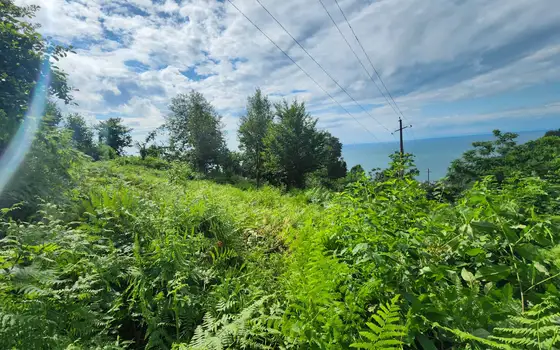 2500 m² Non-Agricultural Land in Sarpi, photo 7