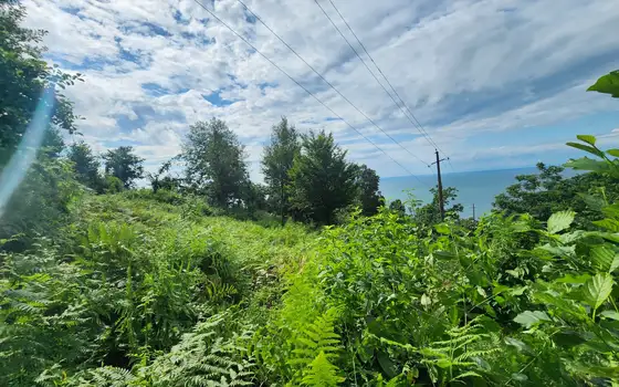 2500 m² Non-Agricultural Land in Sarpi, photo 9