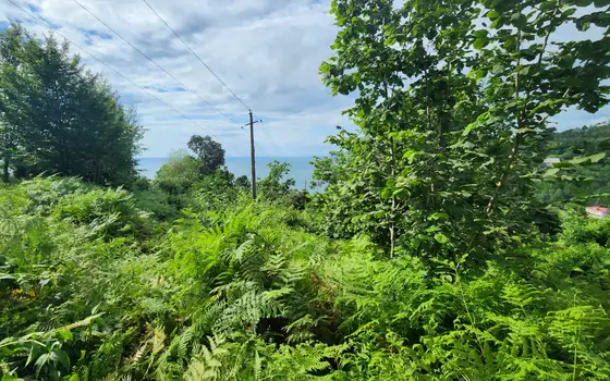 2500 m² Non-Agricultural Land in Sarpi, photo 6