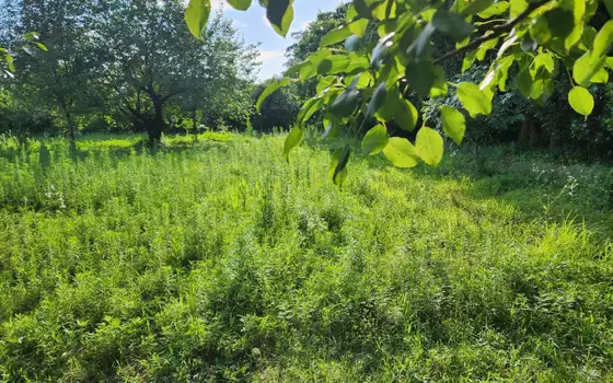 Продается земельный участок в километре от моря.