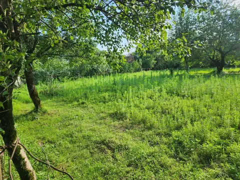 Продается земельный участок в километре от моря.