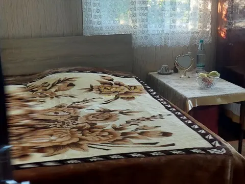 Собственный дом в селе Ахалшени Хелвачаурского муниципалитета.