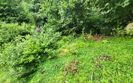 Land plot in Makhinjauri., photo 5