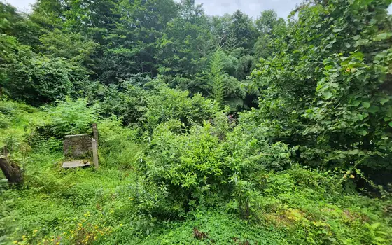 Land plot in Makhinjauri., photo 3