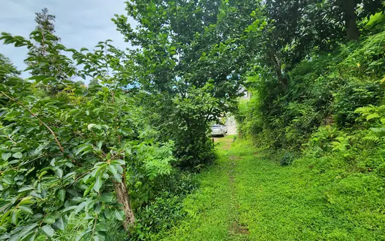 Land plot in Makhinjauri., photo 9