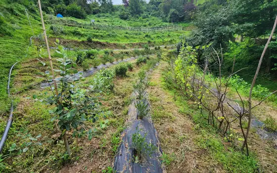 Land for sale in Makhinjauri., photo 3