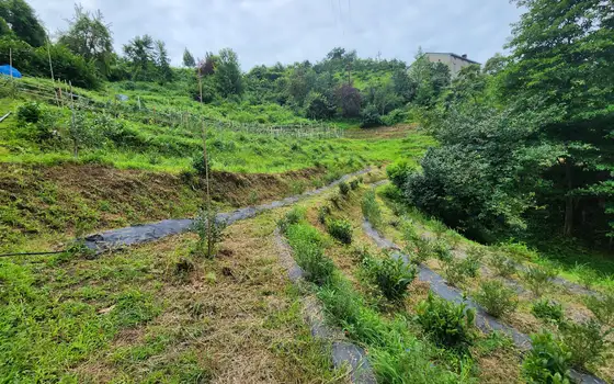 Land for sale in Makhinjauri., photo 7