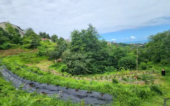 Land for sale in Makhinjauri., photo 12