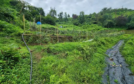 Land for sale in Makhinjauri., photo 9