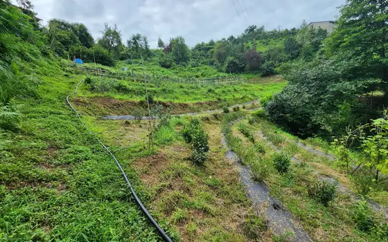 Land for sale in Makhinjauri., photo 4