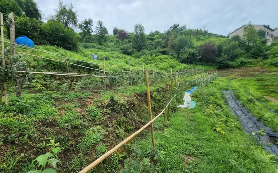 Land for sale in Makhinjauri., photo 10