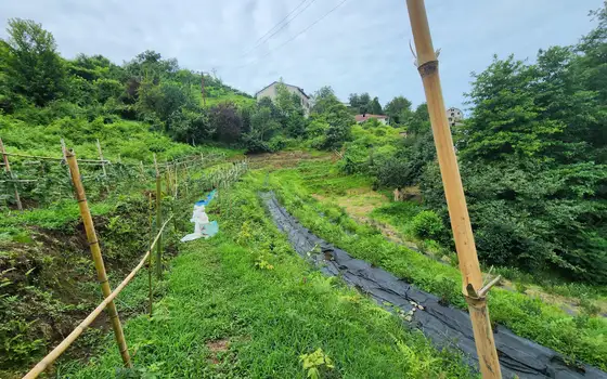 Land for sale in Makhinjauri., photo 11