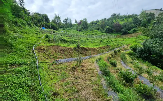 Land for sale in Makhinjauri., photo 6