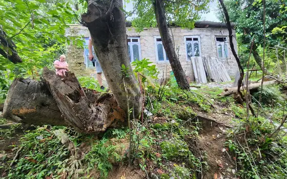 Продается земельный участок по выгодной цене.