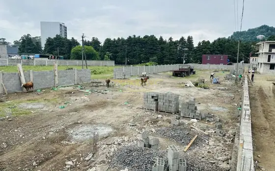 Участок в Хелвачаури. - изображение 1