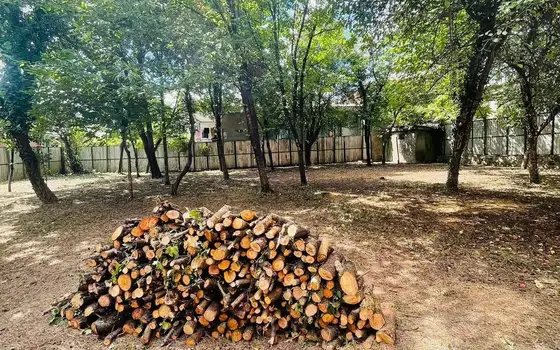 Продажа недвижимости в городе Зестафони.