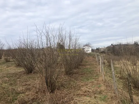 Продается земельный участок с видом на горы фундуковым садом в Чакви. Сакартвело.