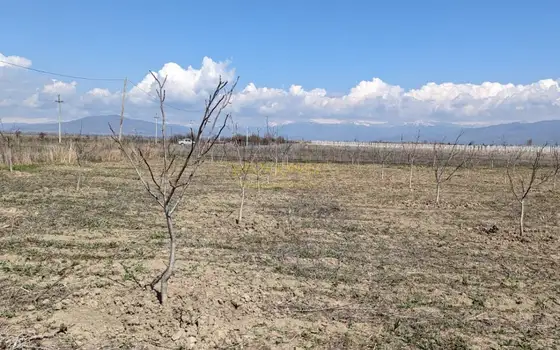 Земельный участок сельскохозяйственного назначения.