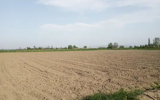 Земельный участок сельскохозяйственного назначения.