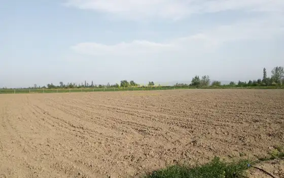Земельный участок сельскохозяйственного назначения.