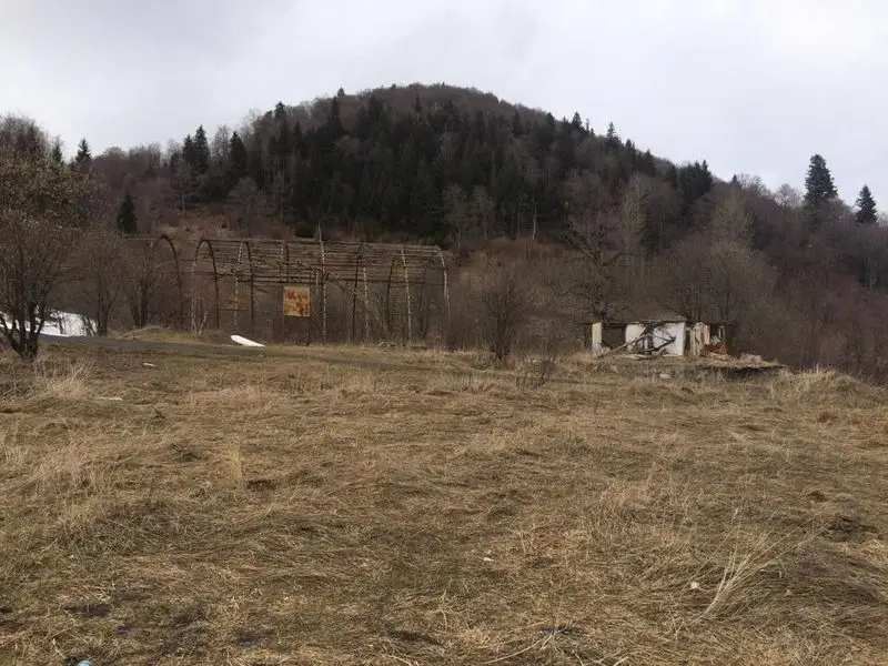 Земельный участок в Бакуриани.