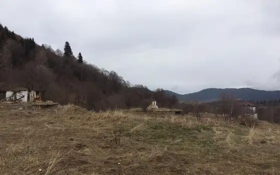 Земельный участок в Бакуриани.