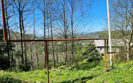 Срочно продается инвестиционный земельный участок в муниципалитете Кобулети.