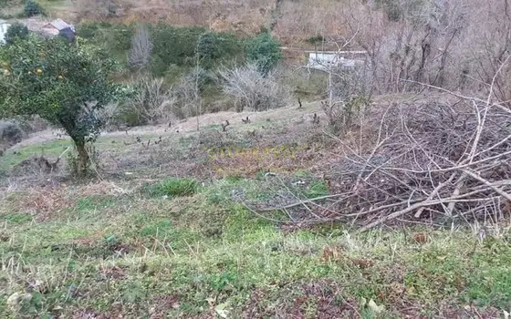 Земля для продажи.