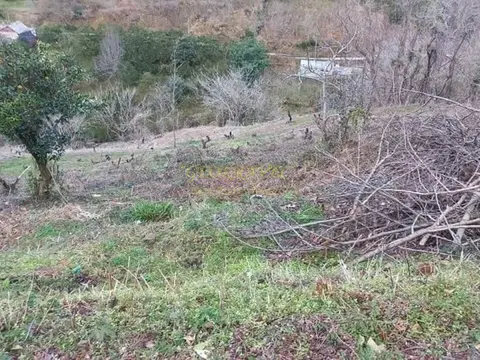 Земля для продажи.