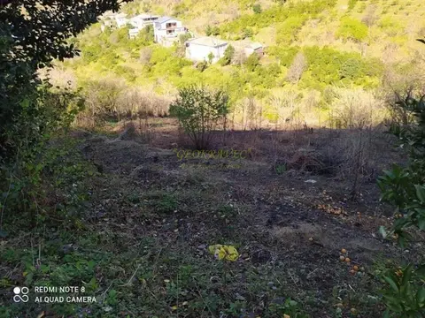 Земля для продажи.