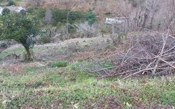 Земля для продажи.