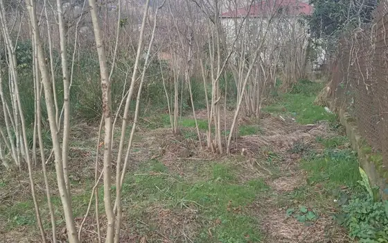Продается земельный участок в Хелвачаури.