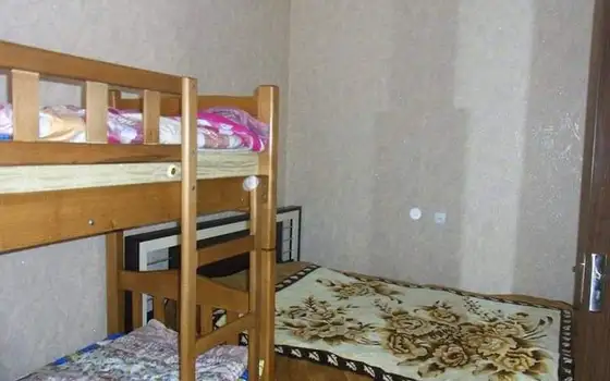 2 Cottages in Bakuriani, photo 3