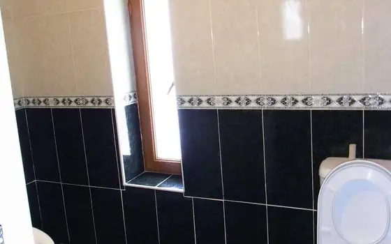 2 Cottages in Bakuriani, photo 6