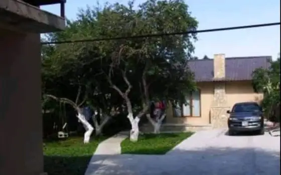 2 Cottages in Bakuriani, photo 10