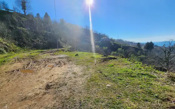 A plot of land with sea views is for sale., photo 5