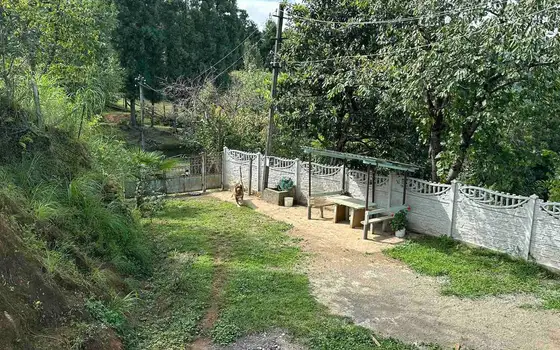 Дом с участком земли.