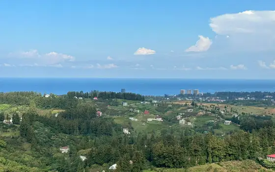 Дом с участком земли.
