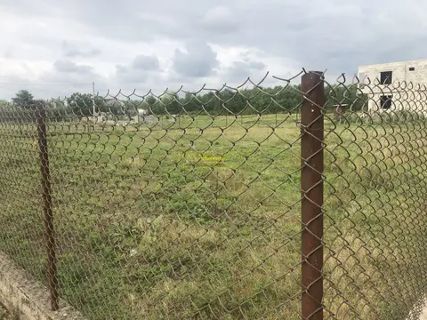 Преобрести участок у моря в Капровани. Гурия. Шекветили.