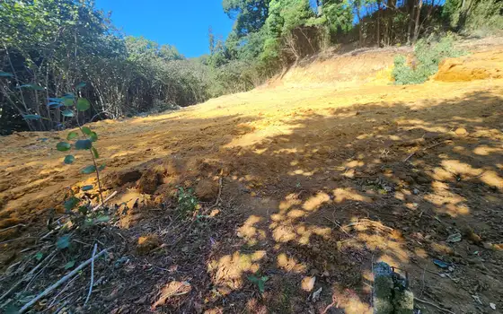 1002 sq.m. Land Plot Near Sea Batumi, photo 4