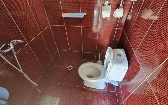 Собственный дом в Григолети.